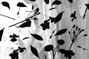 Floral Monochrome Design